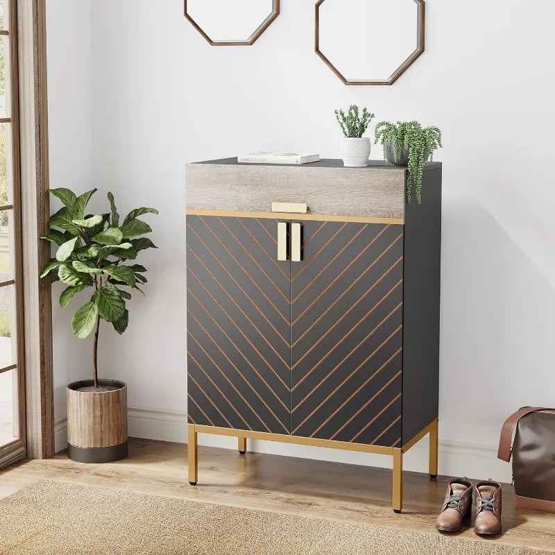 Modern Shoe Storage Cabinet with Doors